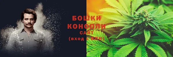 трава Верея