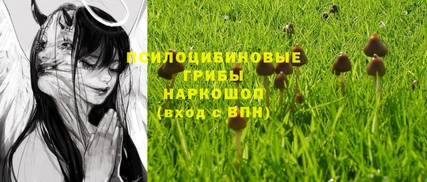 МДПВ Вязники